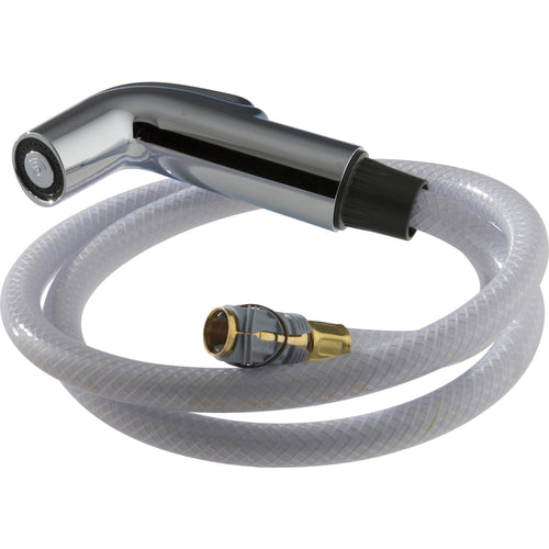 D/ds Spray & Hose Assembly - Chrome