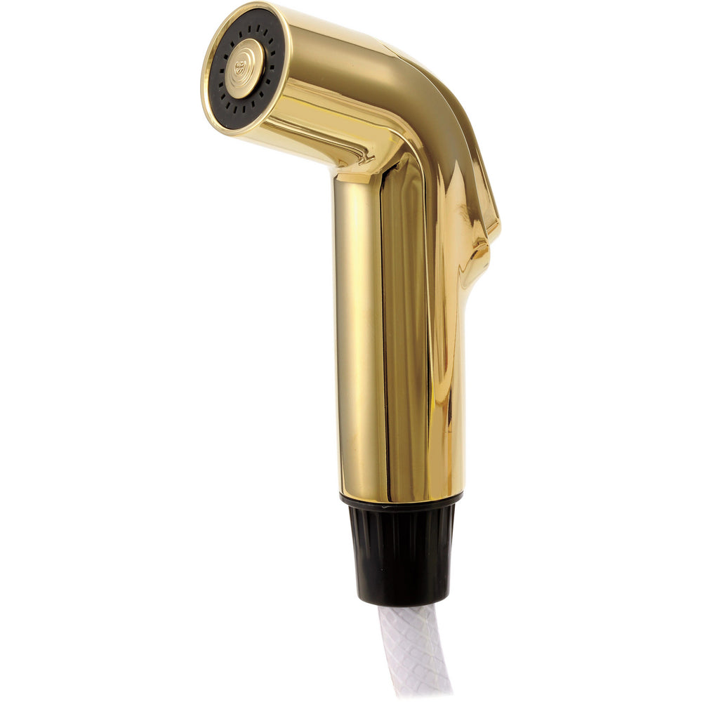 D/ds Spray & Hose Assembly - Polished Brass