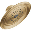 Vessona Single-Setting Raincan Shower Head - Champagne Bronze