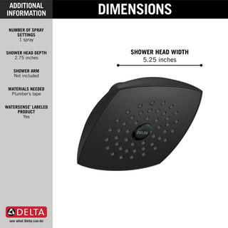 Delta Single-Setting Touch-Clean Raincan Shower Head, RP64859 Series