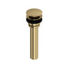 Lavatory Universal Push Drain - Antique Gold | Model Number: CC231OFWOAG