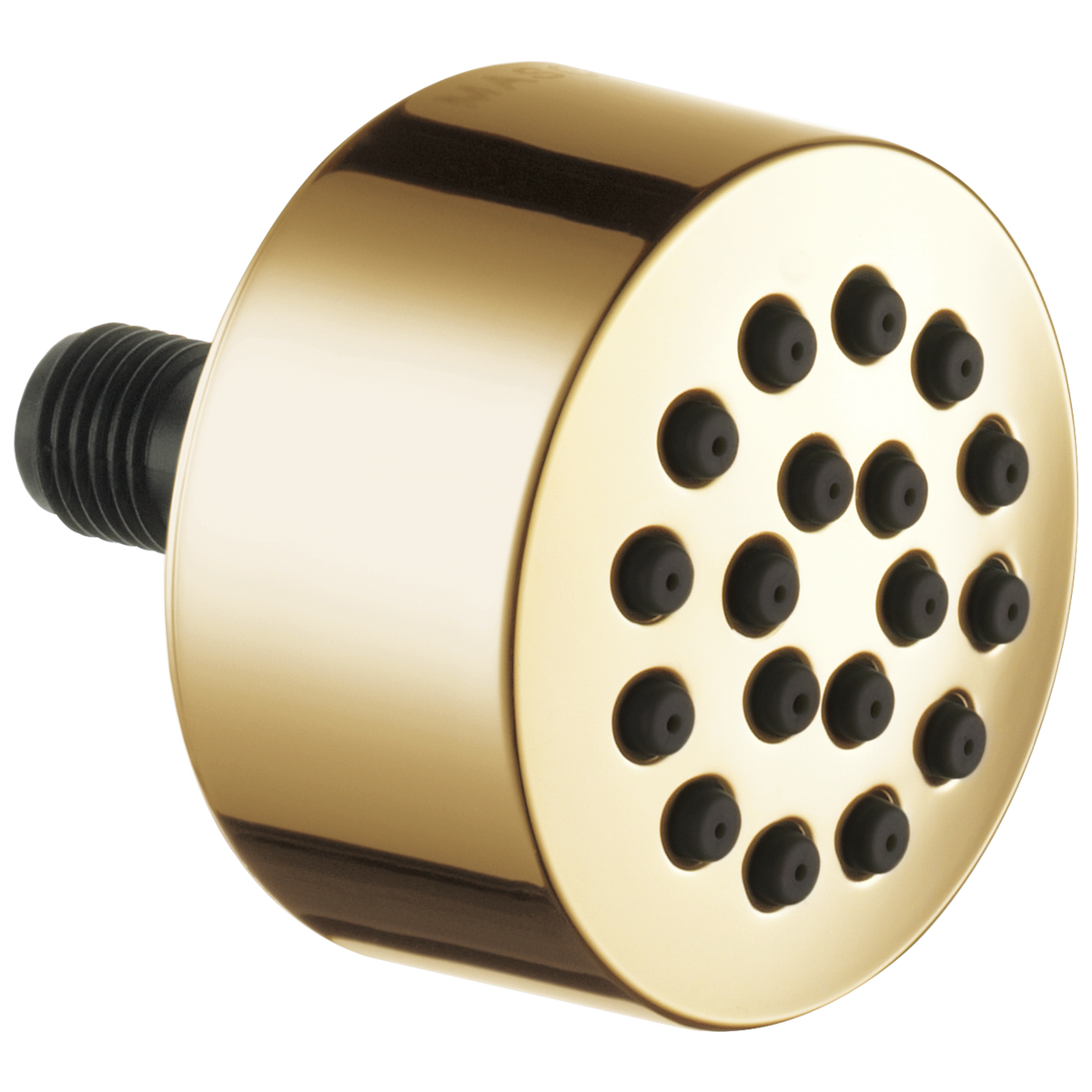 Essential Shower Series Hydrachoice Touch-Clean Spray Head - Brilliance® Polished Gold