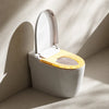 Kodaen Smart toilets with built-in tank Integrated Smart Toilet (SMT-Q9A) - Commerical Use