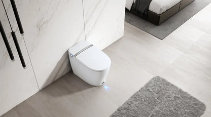 Kodaen Integrated Smart Toilet