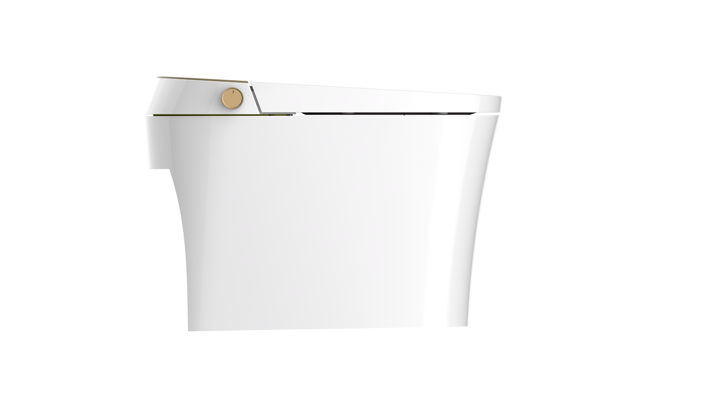 Aquaflo Maritime® Smart Toilet - STM01