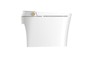 Aquaflo Maritime® Smart Toilet - STM01