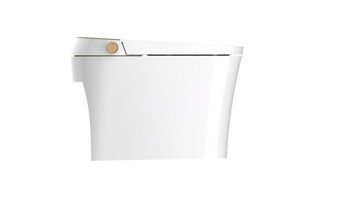 Aquaflo Maritime® Smart Toilet - STM01