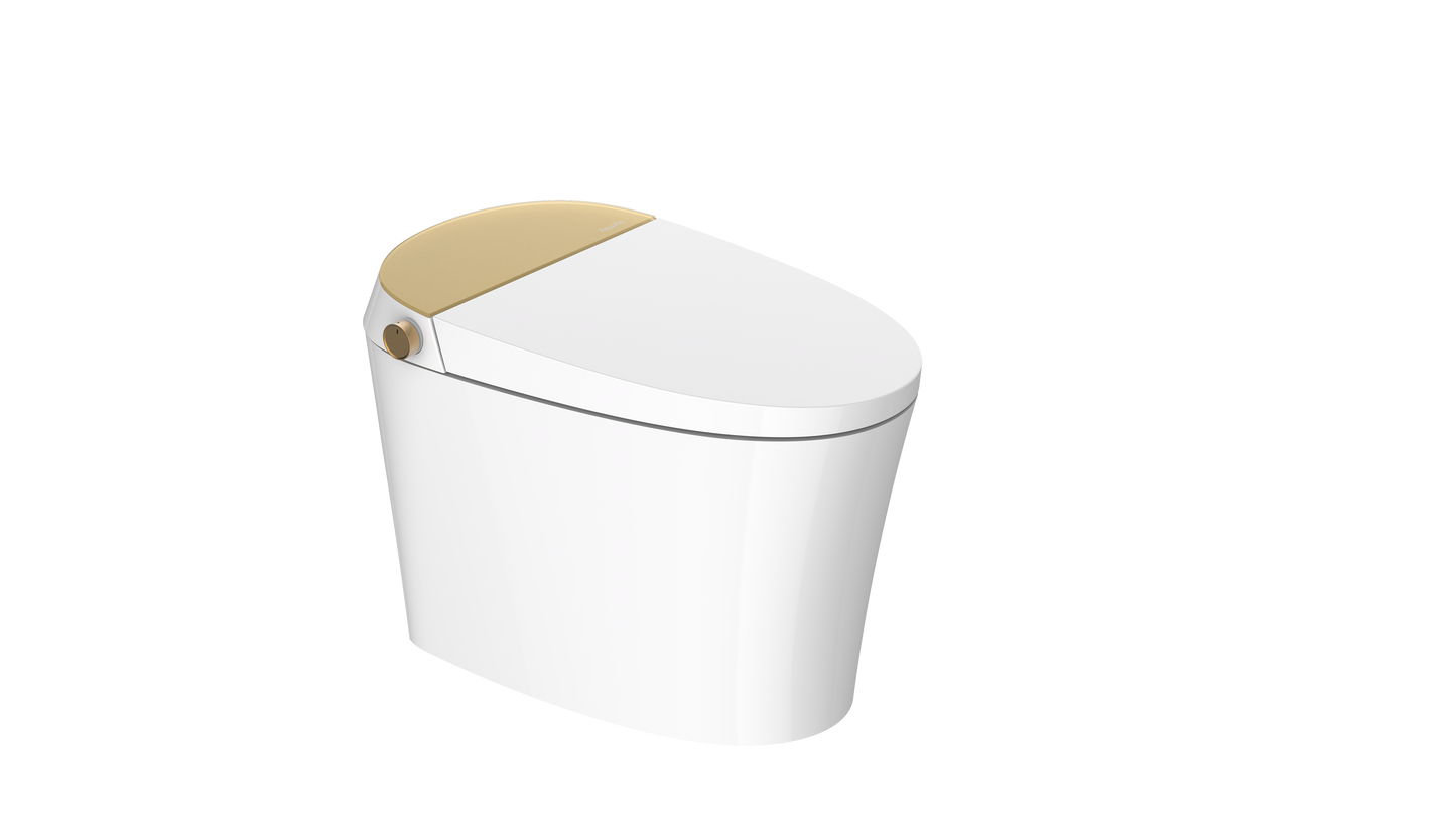 Aquaflo Maritime® Smart Toilet - STM01