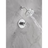 Delta Monitor��17 Series Shower