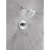 Delta Monitor��17 Series Shower