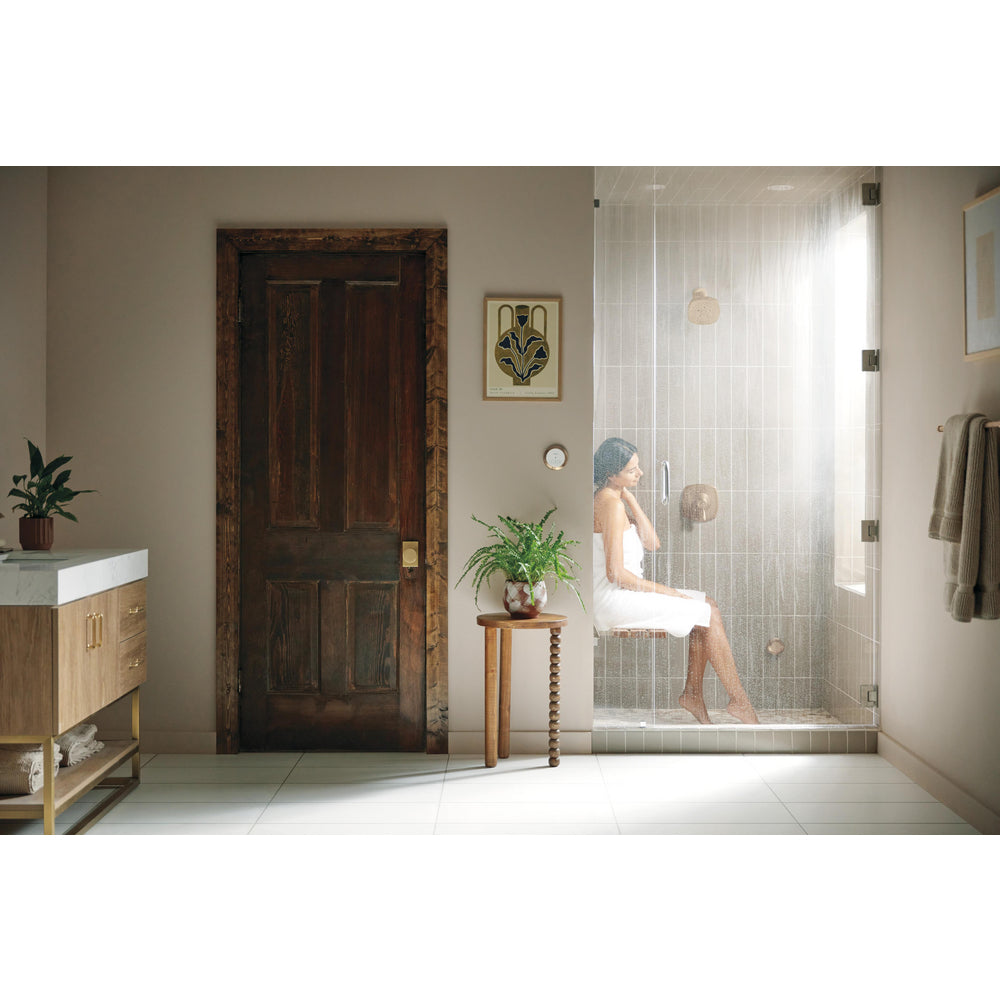 Delta Steamscape Classic System Round Exterior Steam Control
