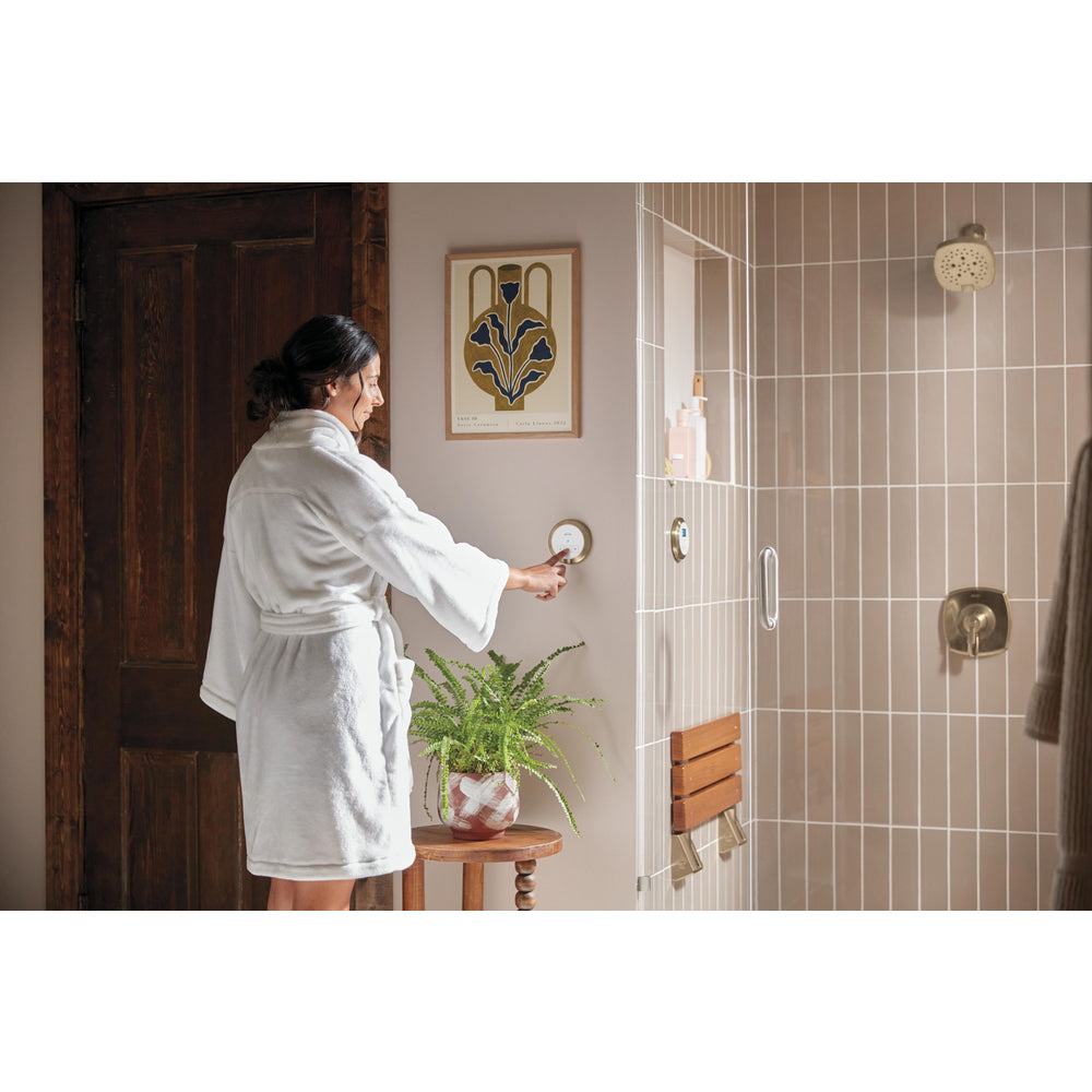 Delta Steamscape Classic System Round Exterior Steam Control