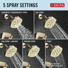 Delta 17 Series Tub and Shower