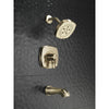 Delta 17 Series Tub and Shower