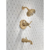 Delta 17T Series Tub Shower