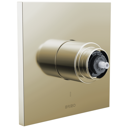 Frank Lloyd Wright Bath Collection by Brizo Pressure Balance Valve Only Trim - Less Handle - Brilliance® Polished Nickel