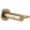 Litze Sensori Volume Control Trim - Lever - Brilliance® Luxe Gold®