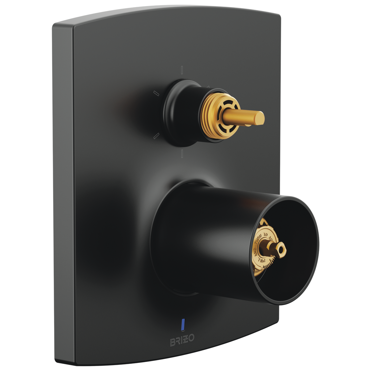 Brizo Pressure Balance Valve with Integrated 6-Function Diverter Trim - Less Handles - Matte Black