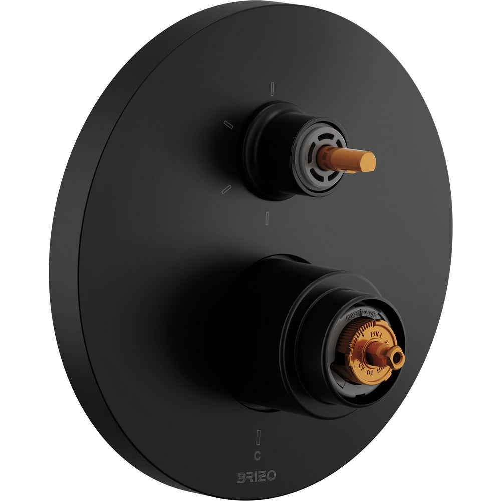 T75P6110-BLLHP
