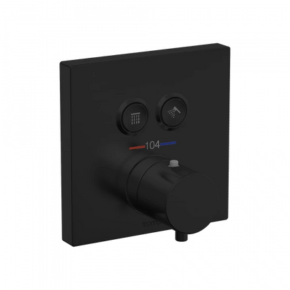 Toto Thermostatic Mixing Valve 2-Function Trim