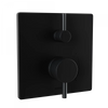 Toto Pressure Balance Valve with Diverter Trim - Square