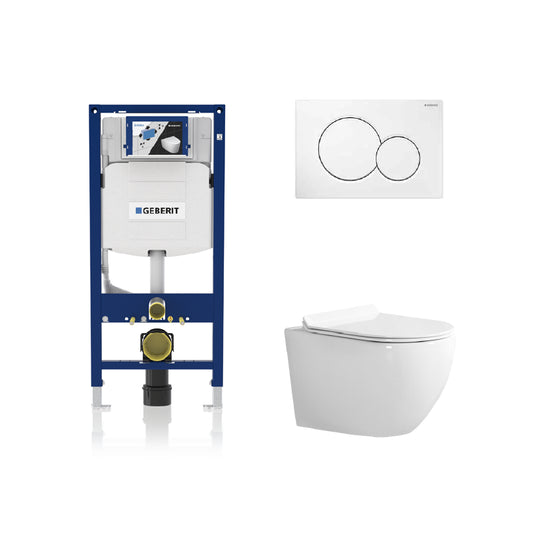 Alps 2-Piece Toilet Elongated Dual-Flush Wall Mounted Toilet With Geberit In-Wall Tank (Seat Included) - Victoria - Golzar Home