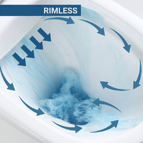Alps Victoria Wall-Mounted Elongated Toilet Dual-Flush 1.6/1.1 gpf with Geberit Carrier & Seat