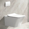 Alps Jewel Wall-Mounted Elongated Toilet Dual-Flush 1.6/1.1 gpf with seat & Geberit Carrier