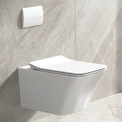 Alps Jewel Wall-Mounted Elongated Toilet Dual-Flush 1.6/1.1 gpf with seat & Geberit Carrier