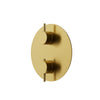 Aqua Brass Round Shower Trim 2-way Shared