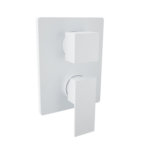 Baril Complete pressure balanced shower control valve with 2-way diverter