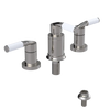 Rubinet Bidet Fitting with Spray, Diverter, and Vacuum Breaker (less drain) Polished Nickel