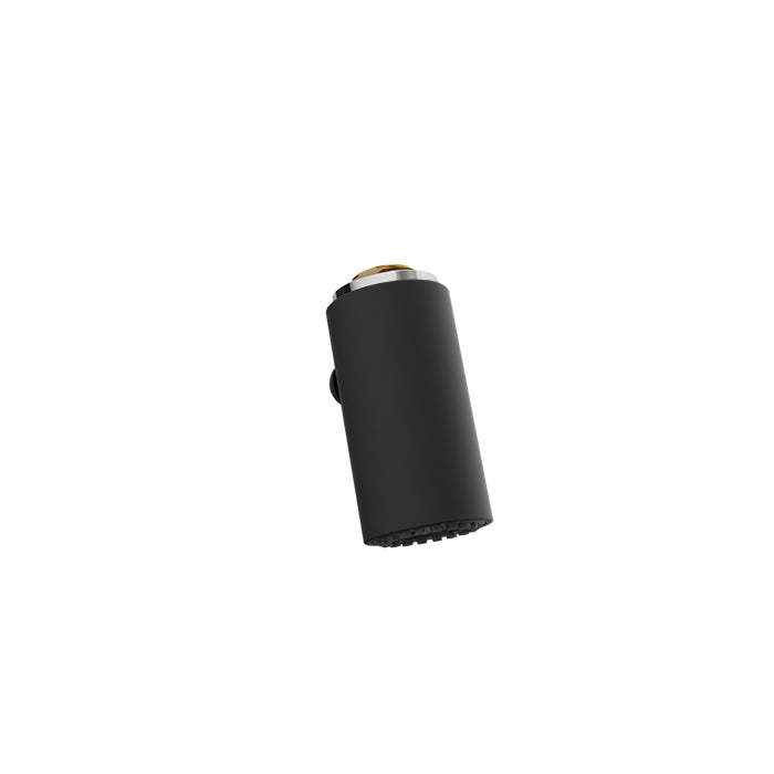 Baril Brass 2-spray hand shower