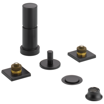 Brizo Bidet Faucet Less Handles