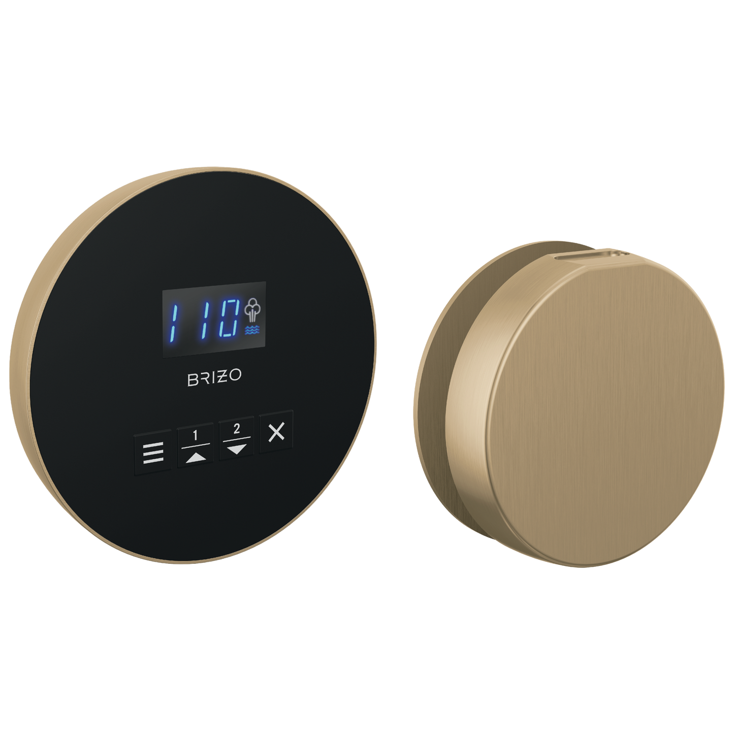 Brizo Round Steam Set