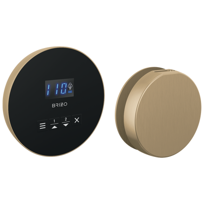 Brizo Round Steam Set