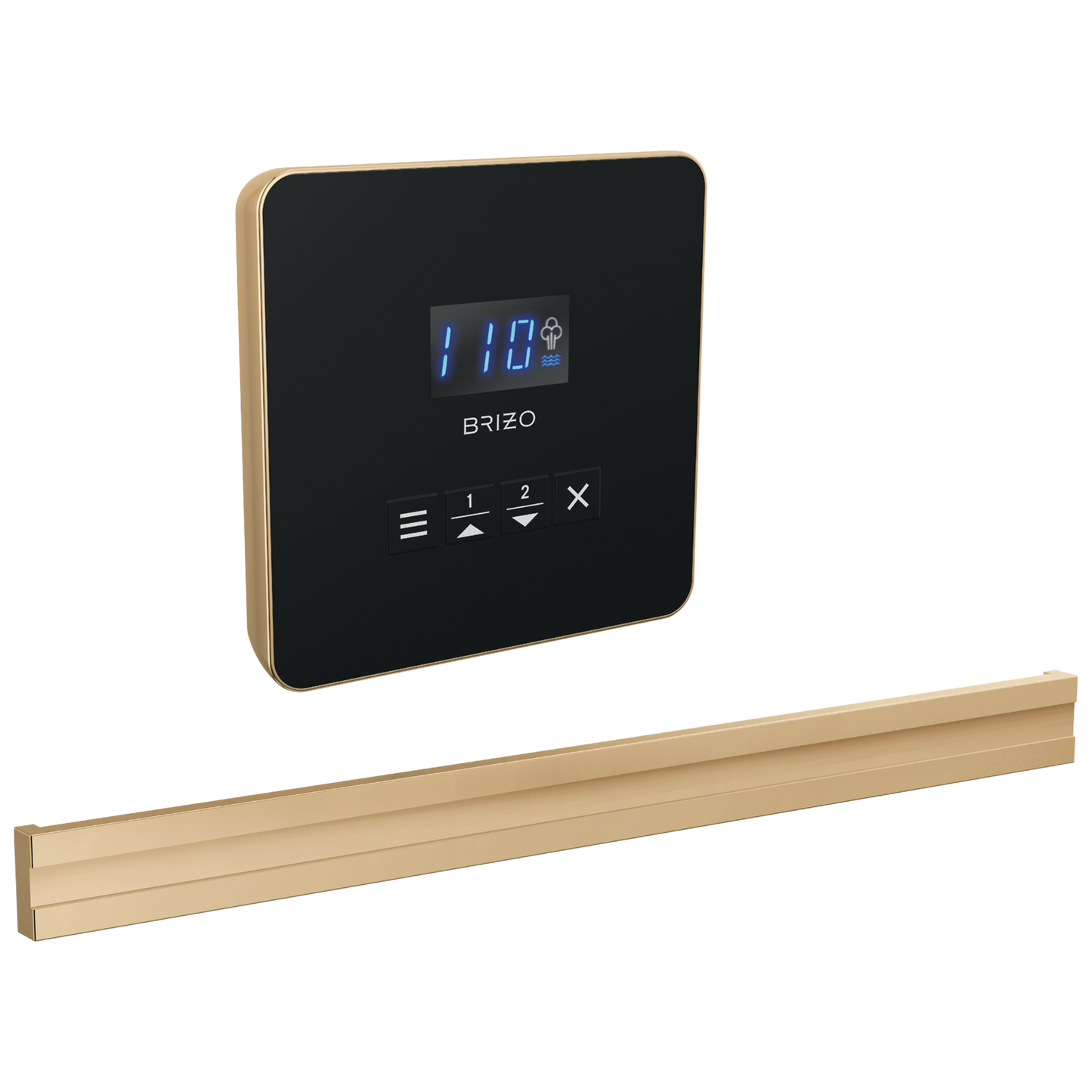 Brizo Square Bilateral Steam Set