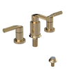 Rubinet Bidet Fitting with Spray, Diverter, and Vacum Breaker (Less Drain) Gold