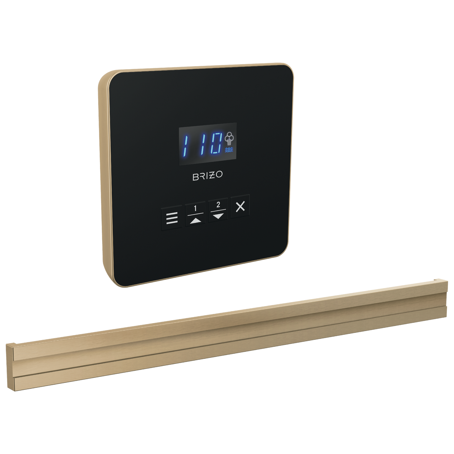 Brizo Square Bilateral Steam Set