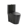 Alps Dual Flush One Piece Toilet 1.6/1.1 Gpf - Golzar Home