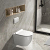 Alps 2-Piece Toilet Elongated Dual-Flush Wall Mounted Toilet With Geberit In-Wall Tank (Seat Included) - Victoria - Golzar Home