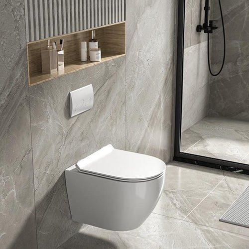 Alps 2-Piece Toilet Elongated Dual-Flush Wall Mounted Toilet With Geberit In-Wall Tank (Seat Included) - Victoria - Golzar Home