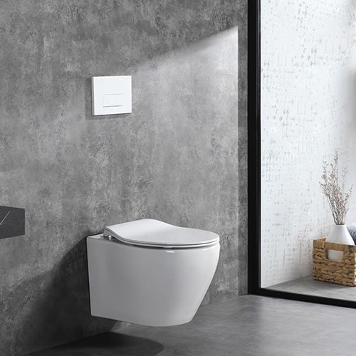 Alps 2-Piece Toilet Elongated Dual-Flush Wall Mounted Toilet With Geberit In-Wall Tank (Seat Included) - Berlin - Golzar Home