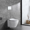 Alps 2-Piece Elongated Dual-Flush Wall Mounted Toilet with Duravit In-Wall Tank (Seat Included) Berlin - Golzar Home