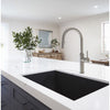 Kalia ENORA DIVER Single Handle Kitchen Faucet Pull-Down Dual Spray