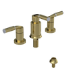 Rubinet Bidet Fitting with Spray, Diverter, and Vacuum Breaker (less drain) Natural Brass