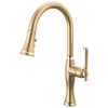 Brizo Pull Down Kitchen Faucet