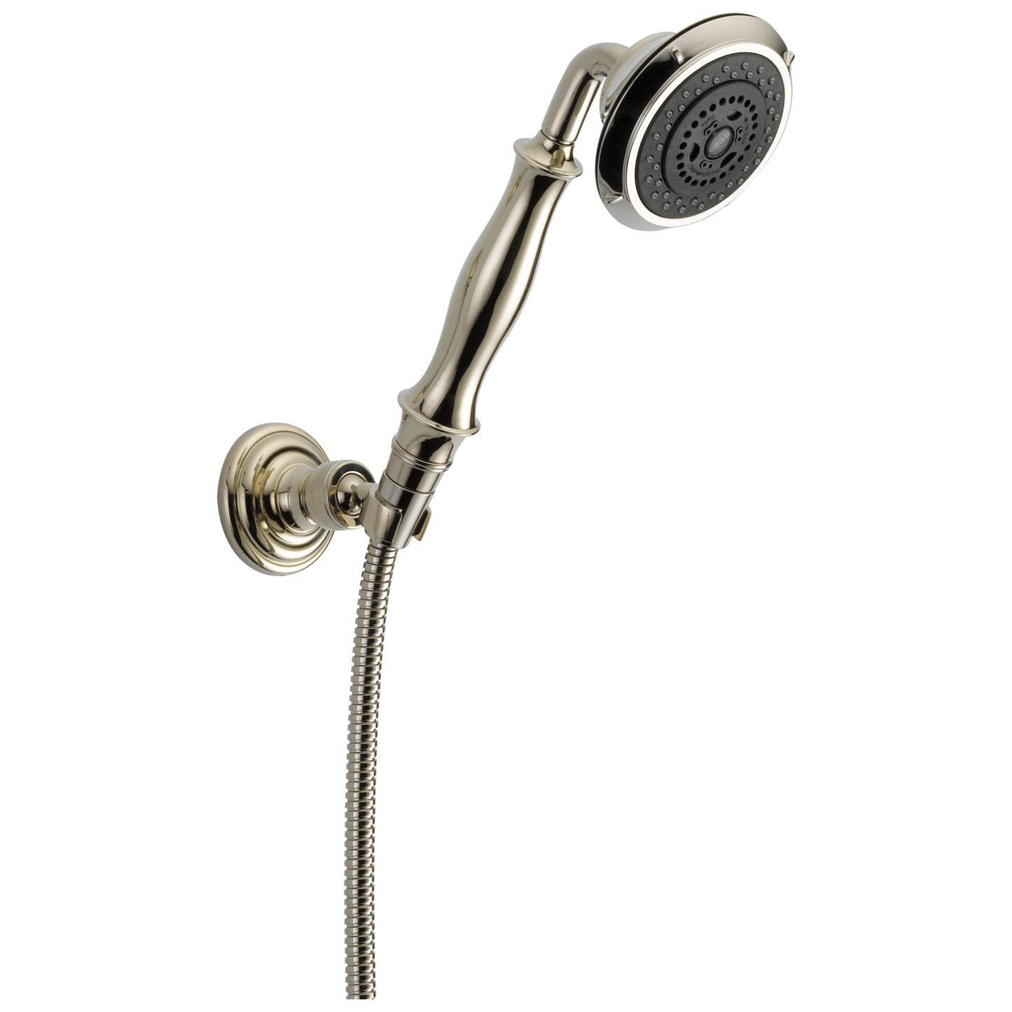 Brizo Multifunction Wall Mount Handshower