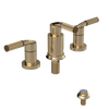 Rubinet Bidet Fitting with Spray, Diverter, and Vacum Breaker (Less Drain) Gold