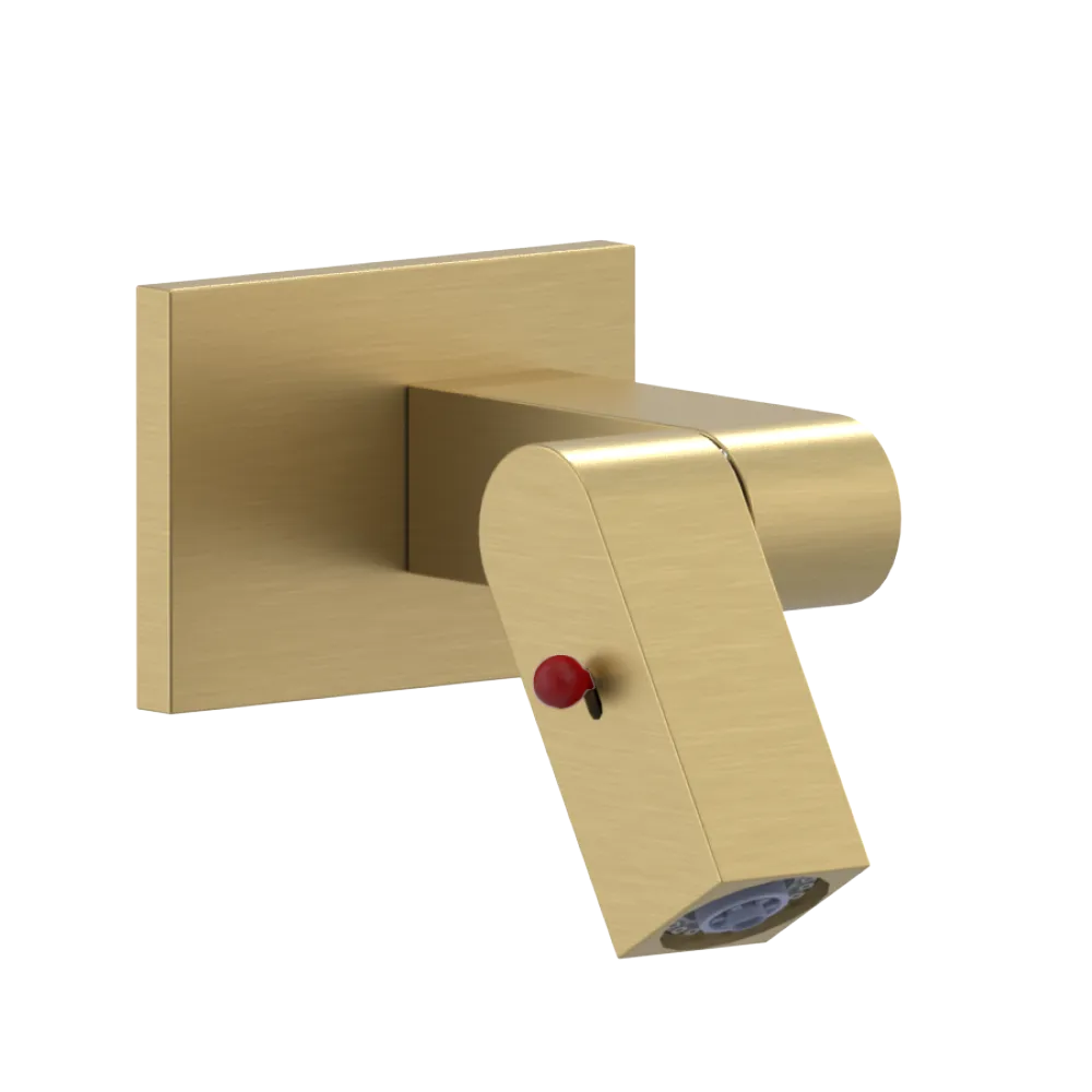 Rubinet Wall Mount Bidet & Foot Rinse with Dual Function Spray Satin Gold